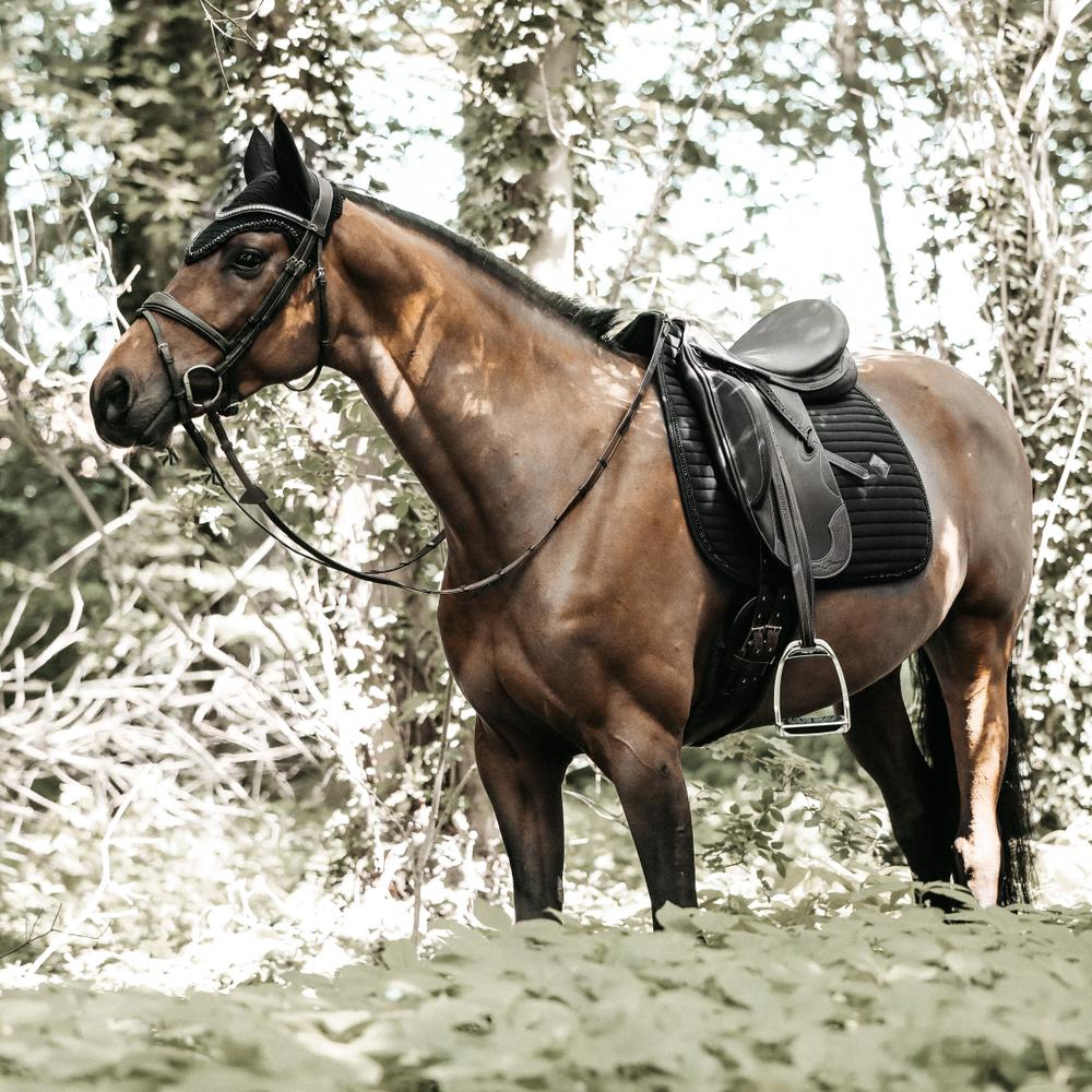 Saddle Pad Pearls Dressage | Kentucky Horsewear | StylishDesign — Image 13
