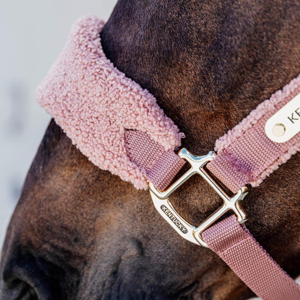 Teddy Fleece Halter | Kentucky Horsewear | Comfort — Image 2