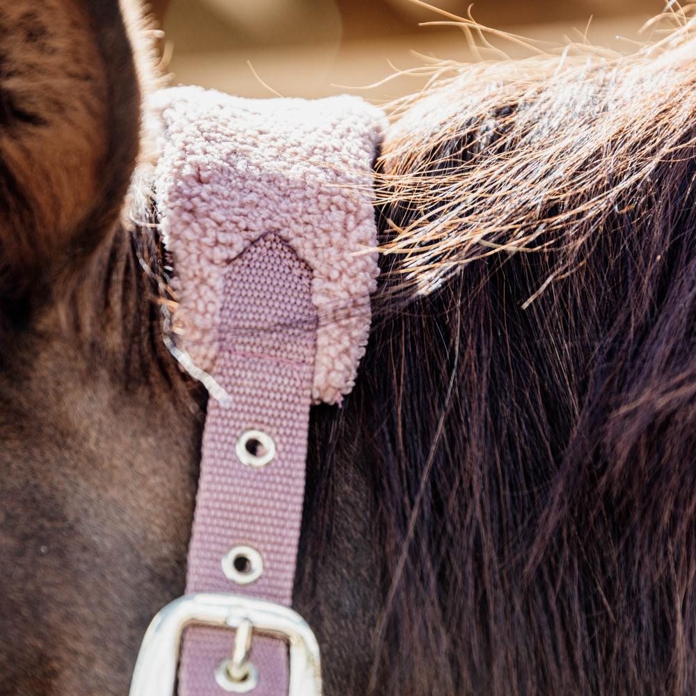 Teddy Fleece Halter | Kentucky Horsewear | Comfort — Image 3