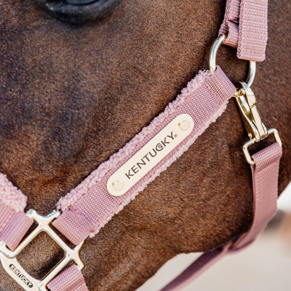 Teddy Fleece Halter | Kentucky Horsewear | Comfort — Image 4