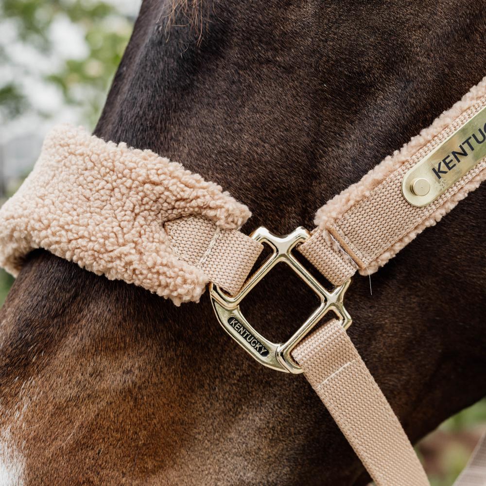 Teddy Fleece Halter | Kentucky Horsewear | Comfort — Image 7