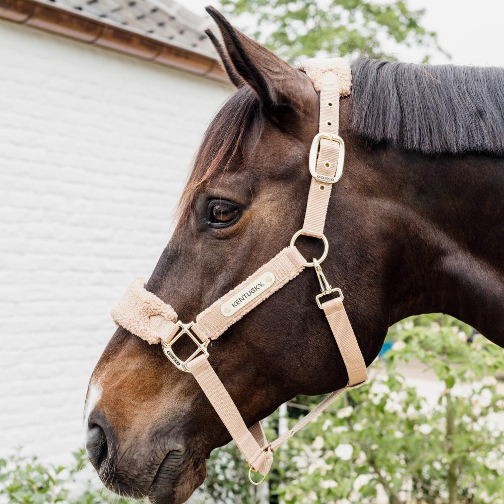 Teddy Fleece Halter | Kentucky Horsewear | Comfort — Image 8