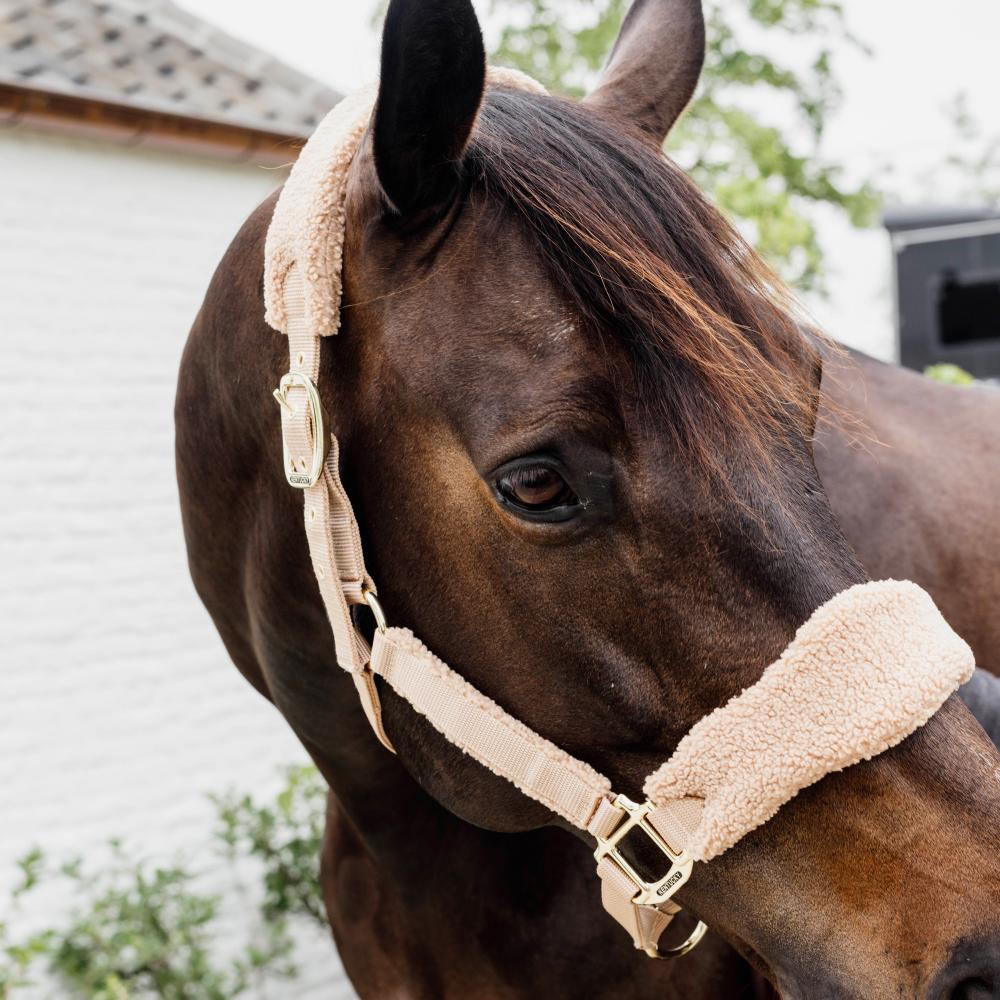 Teddy Fleece Halter | Kentucky Horsewear | Comfort — Image 9