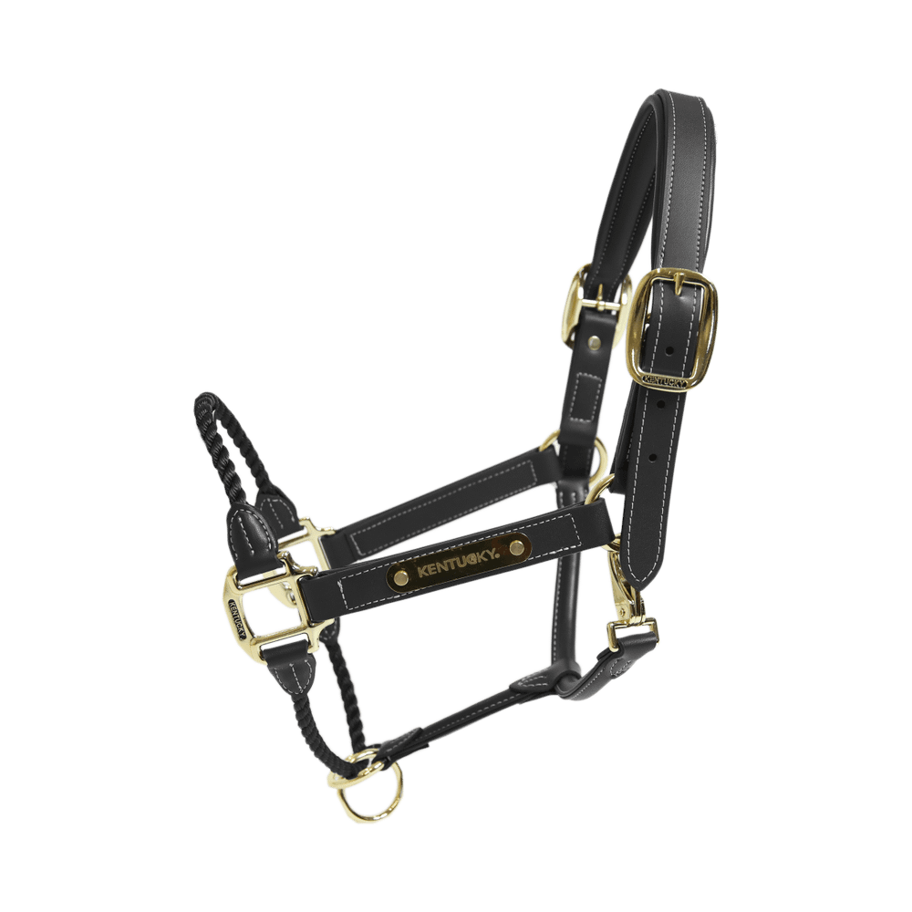 Leather Rope Halter | Kentucky Horsewear | durable — Image 5