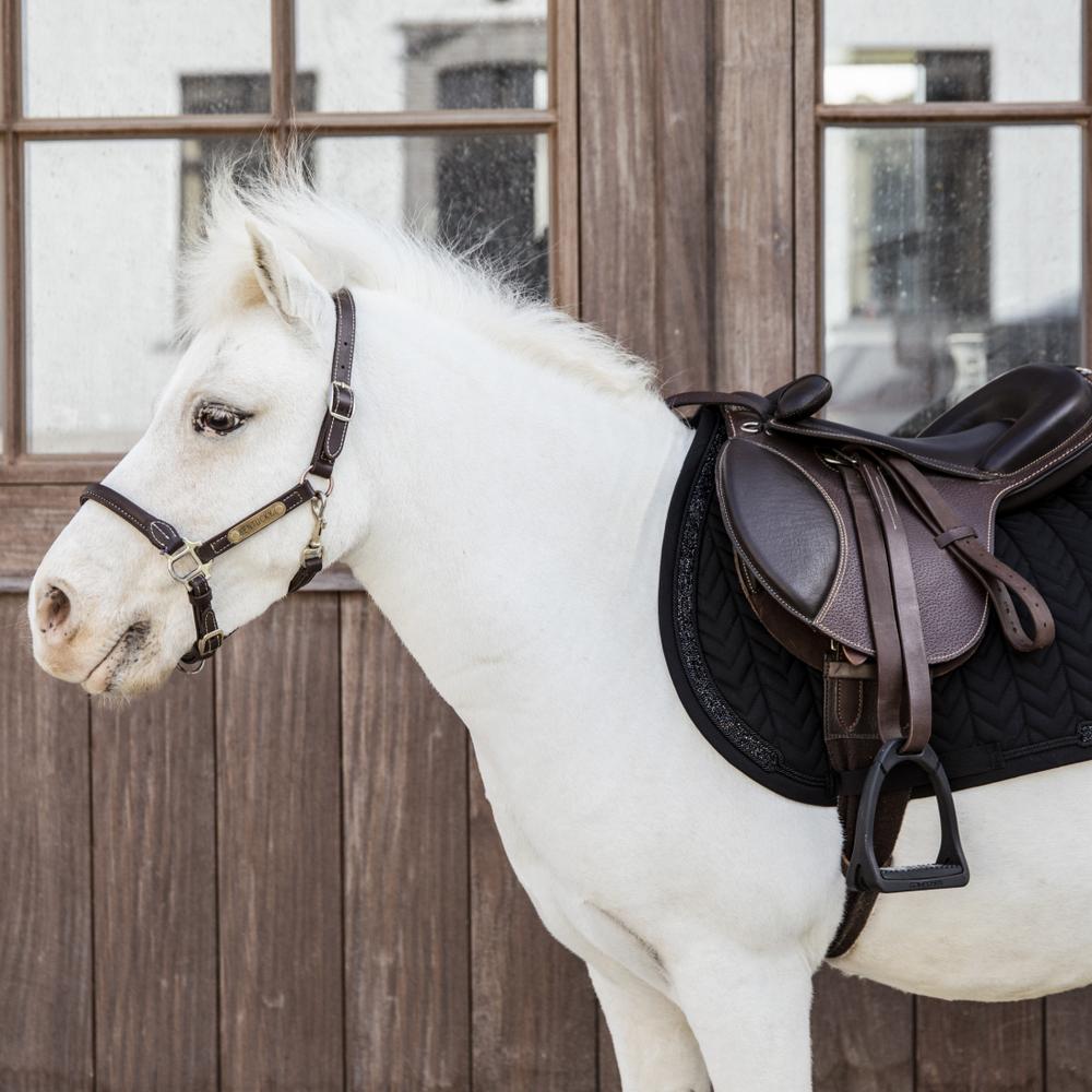 Saddle Pad Glitter Stone Jumping | Kentucky Horsewear | Comfort — Image 11