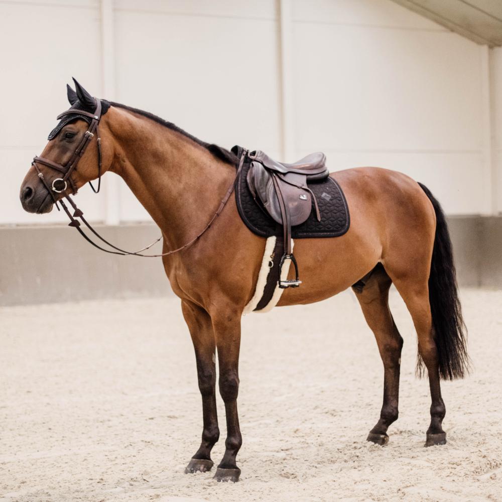 Saddle Pad Glitter Rope Jumping | Kentucky Horsewear | Cushioning — Image 4