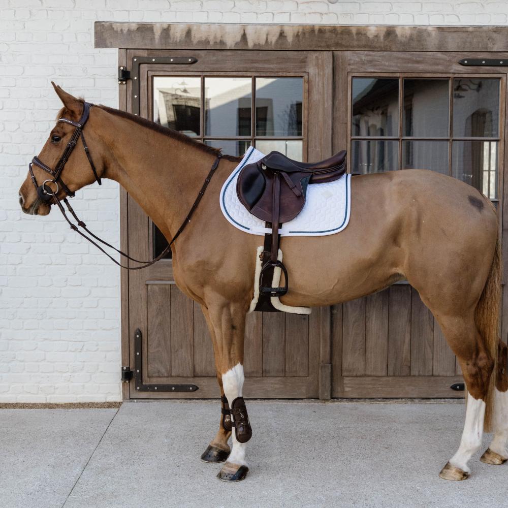 Saddle Pad Glitter Rope Jumping | Kentucky Horsewear | Cushioning — Image 20