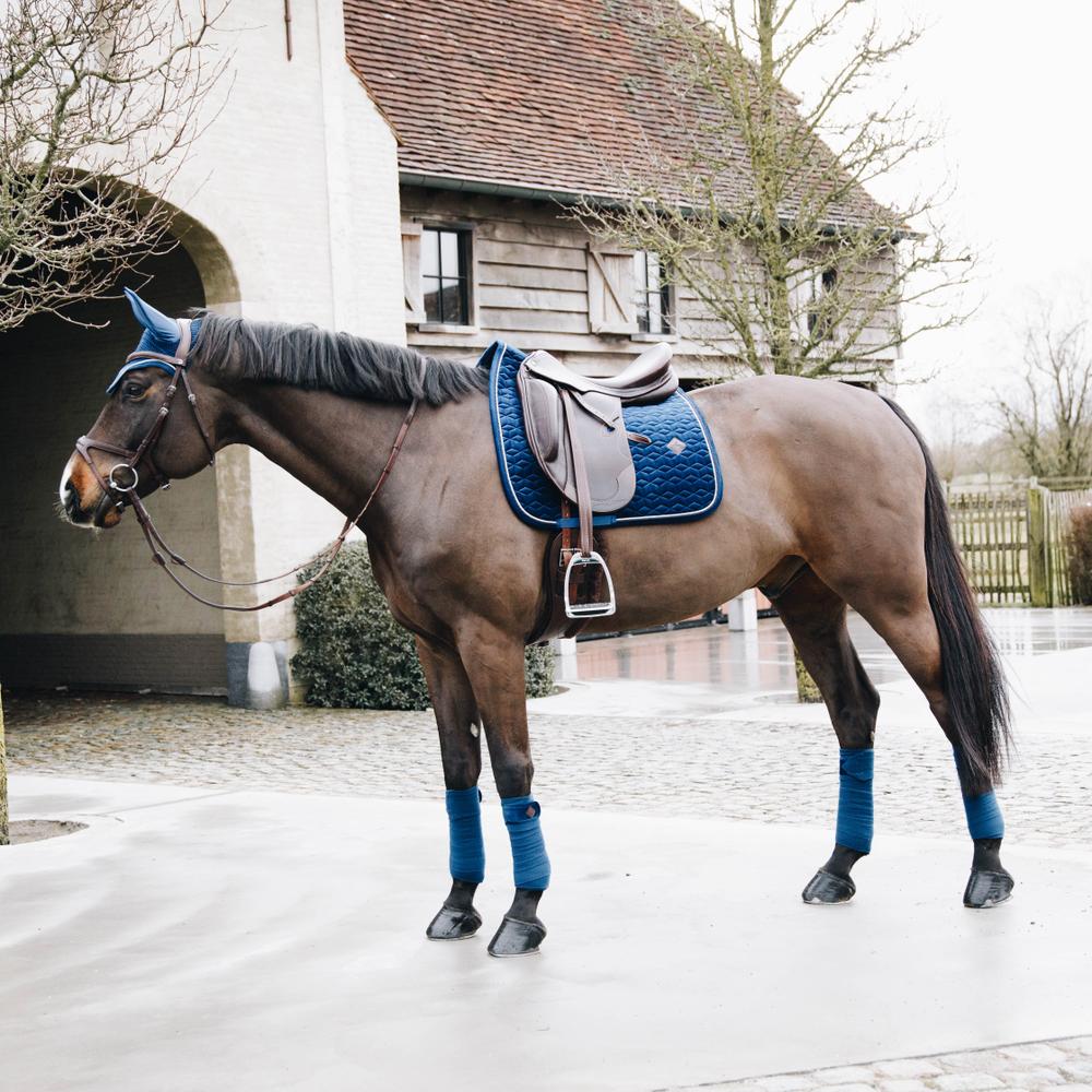 Navy saddlepad on a horse under a brown saddle