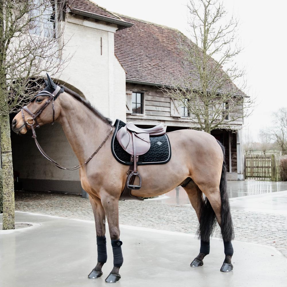 Saddle Pad Basic Velvet Jumping | Kentucky Horsewear | CushionedProtection — Image 6
