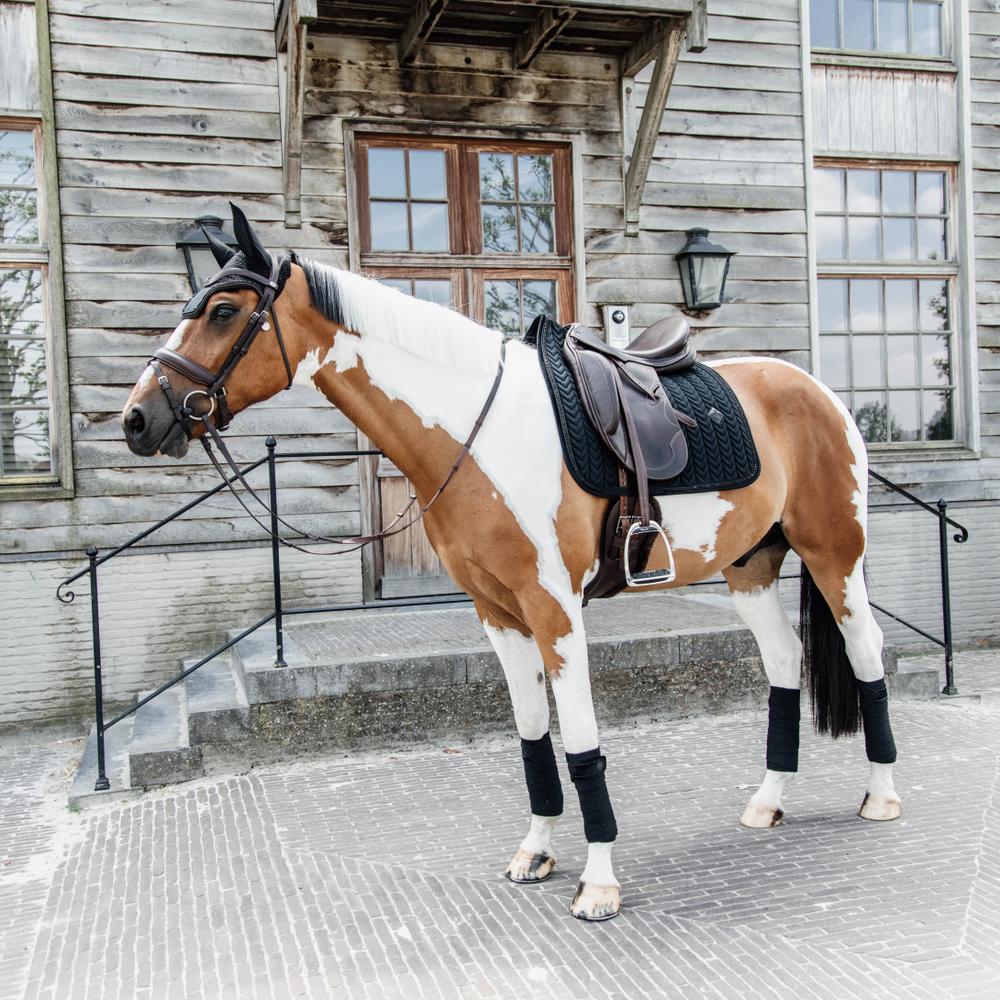 Saddle Pad Velvet Pearls Jumping | Kentucky Horsewear | luxuriousvelvet — Image 5