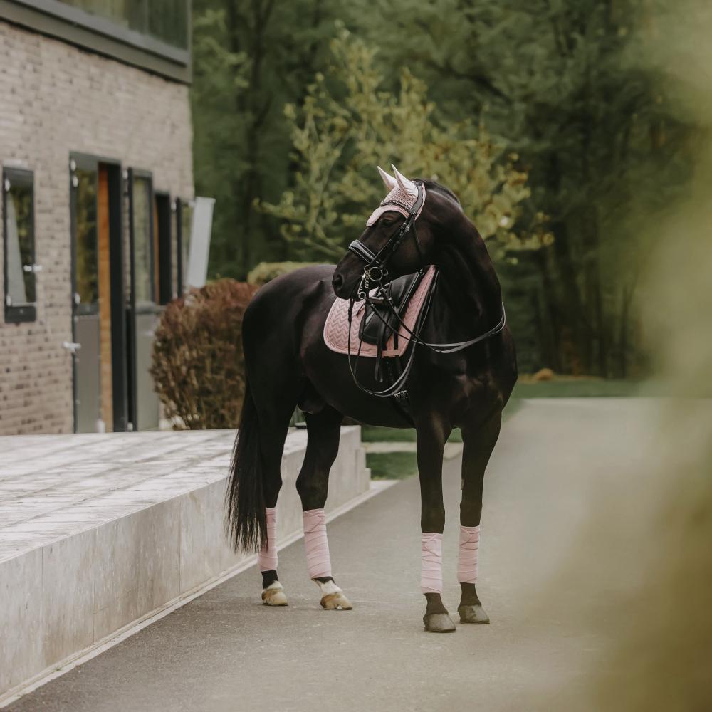 Saddle Pad Velvet Pearls Jumping | Kentucky Horsewear | luxuriousvelvet — Image 19