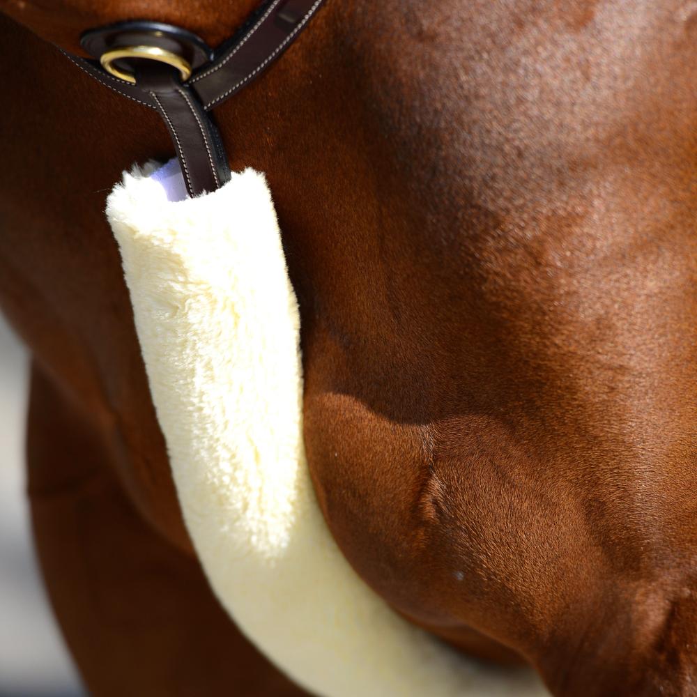Sheepskin Breastplate & Rein cover | Kentucky Horsewear | Comfort — Image 3