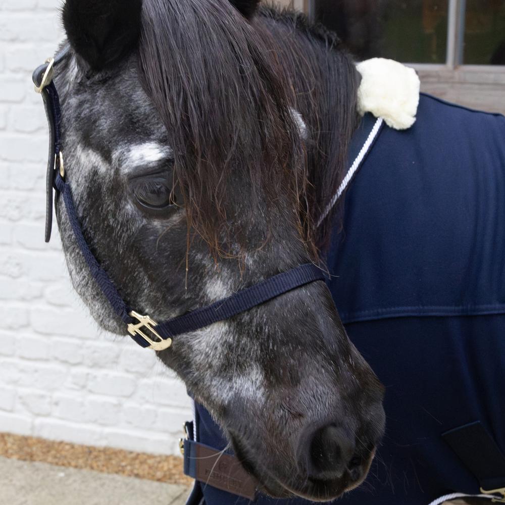 Nylon Halter Breakaway | Kentucky Horsewear | safety — Image 9