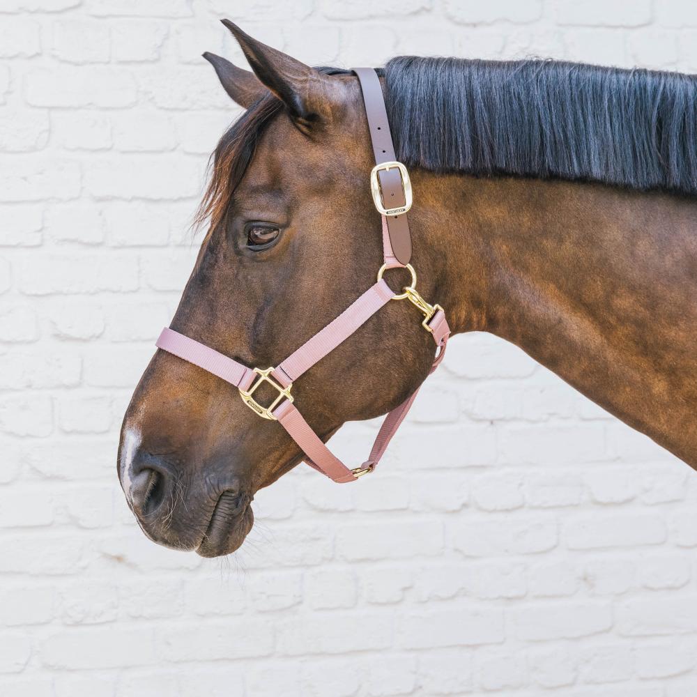 Nylon Halter Breakaway | Kentucky Horsewear | safety — Image 8