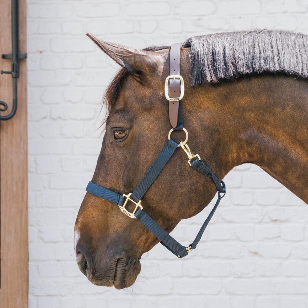 Nylon Halter Breakaway | Kentucky Horsewear | safety — Image 5