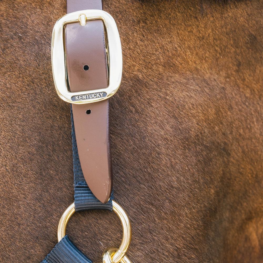 Nylon Halter Breakaway | Kentucky Horsewear | safety — Image 15