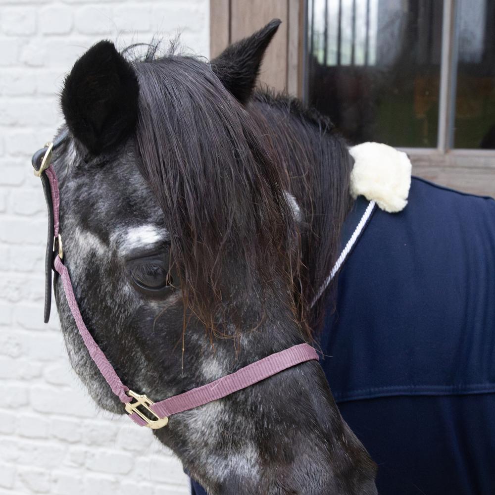 Nylon Halter Breakaway | Kentucky Horsewear | safety — Image 7
