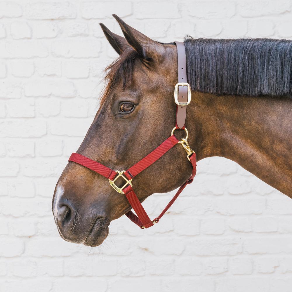 Nylon Halter Breakaway | Kentucky Horsewear | safety — Image 14