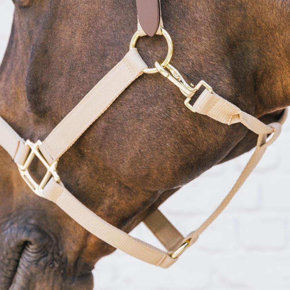 Nylon Halter Breakaway | Kentucky Horsewear | safety — Image 11
