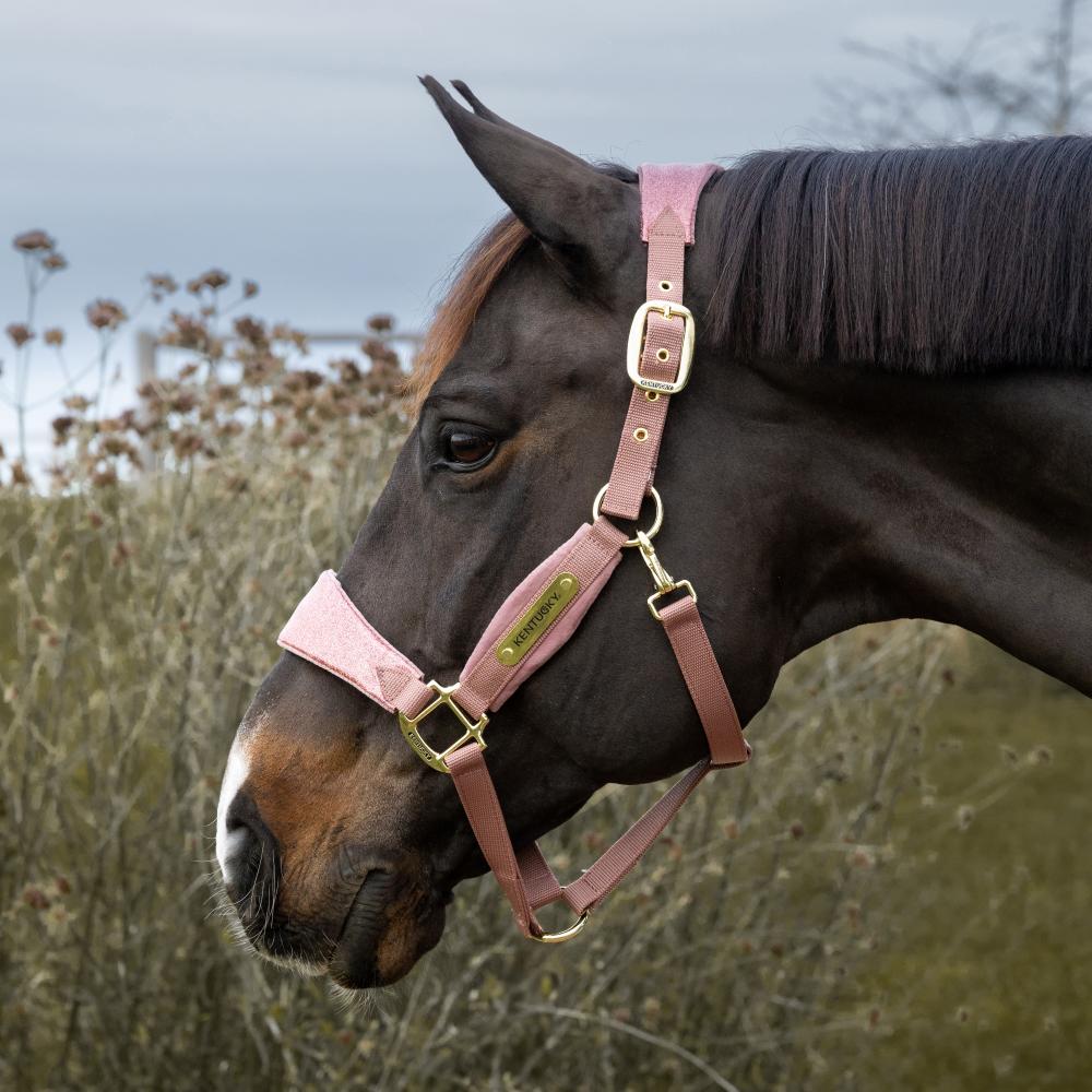 Velvet Halter Unicorn Glitter | Kentucky Horsewear | luxurious — Image 5