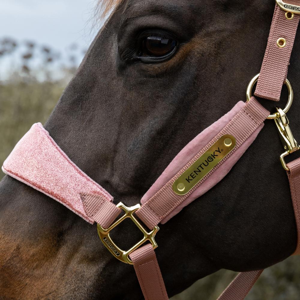 Velvet Halter Unicorn Glitter | Kentucky Horsewear | luxurious — Image 7
