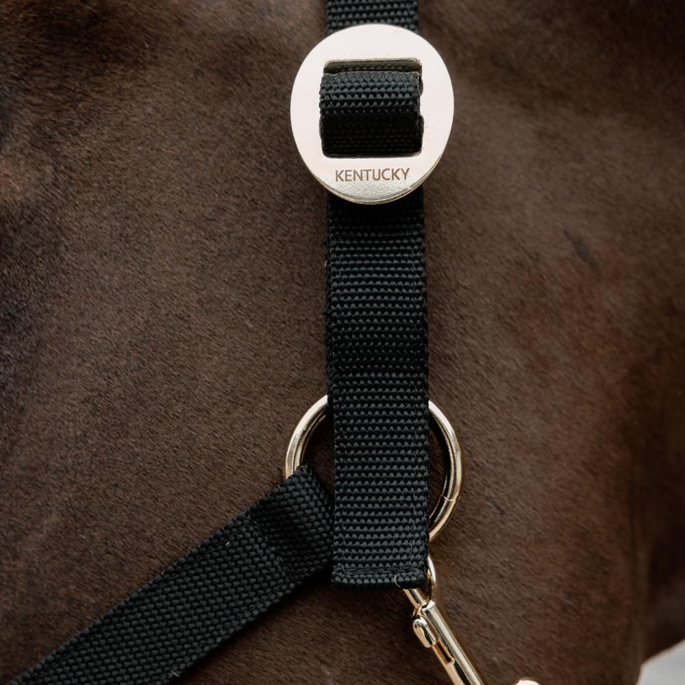 Nylon Halter | Kentucky Horsewear | Durable — Image 5