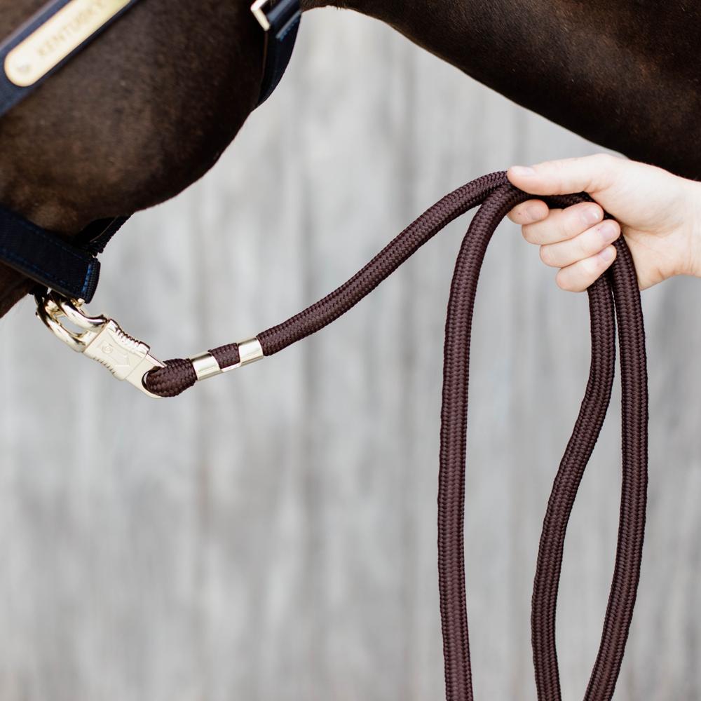 Lead Rope Panic Hook | Kentucky Horsewear | safety — Image 6