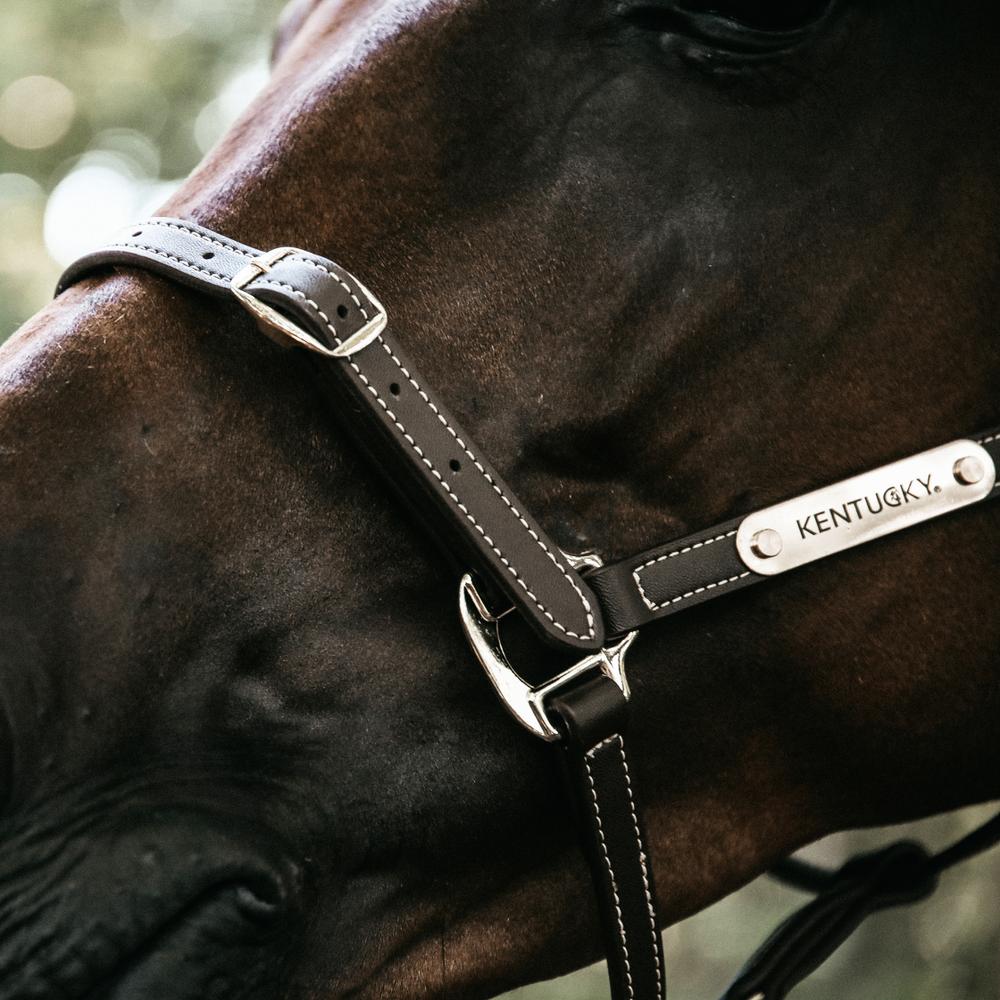 Leather Halter Flexible | Kentucky Horsewear | Versatile — Image 3