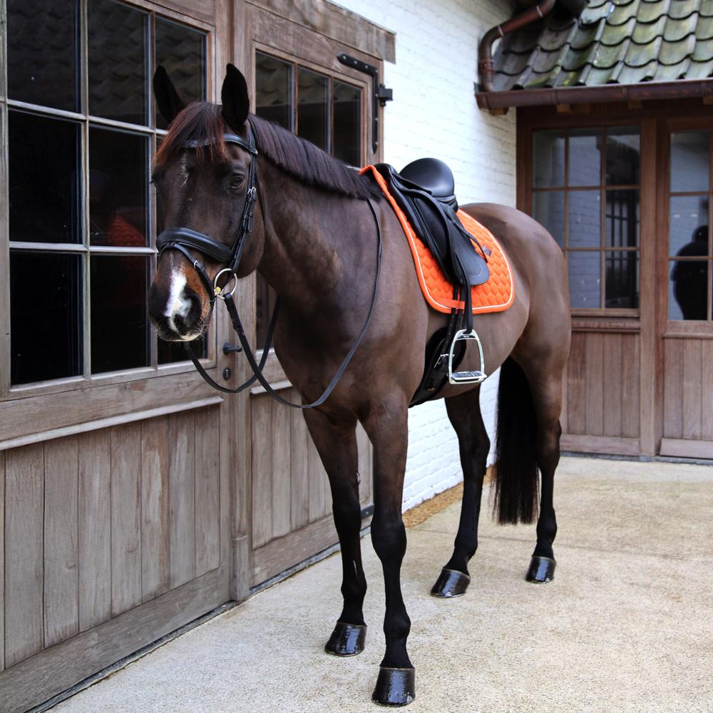 Kentucky Saddle Pad Melange