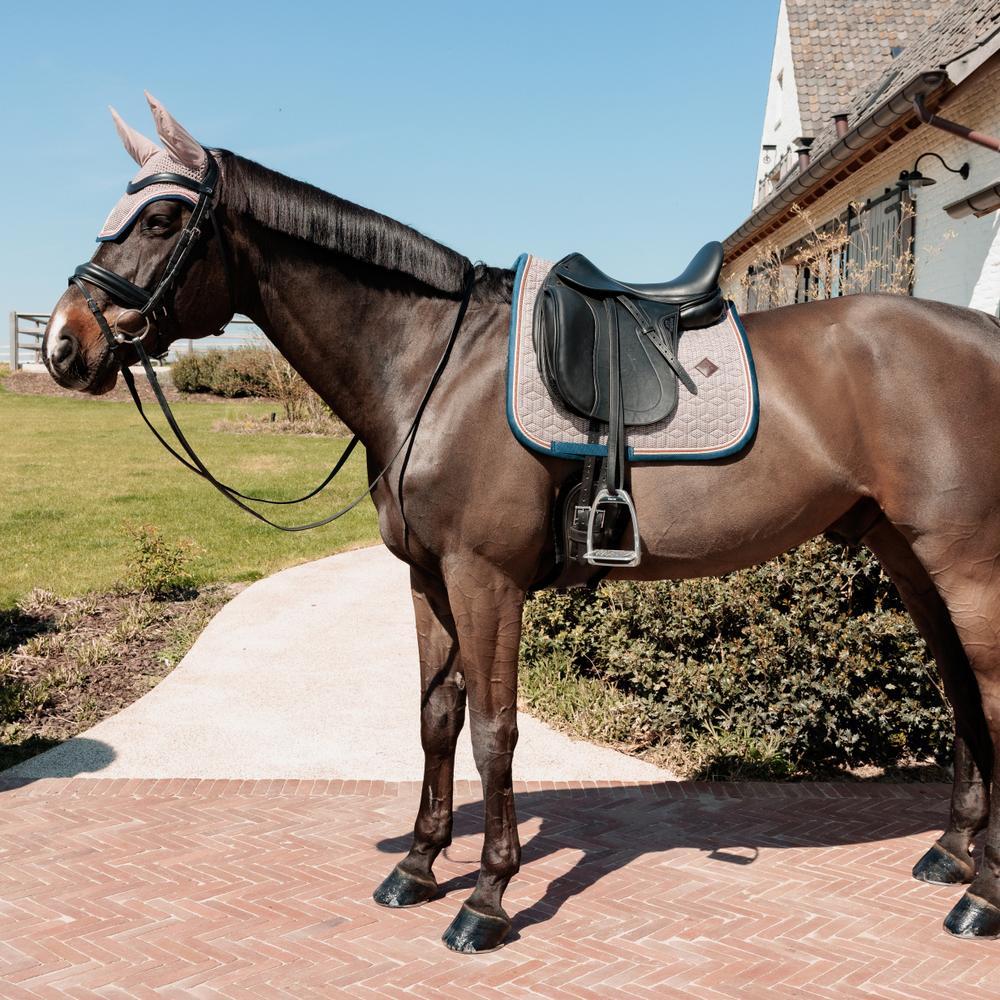 Saddle pad on a horse under a brown saddle