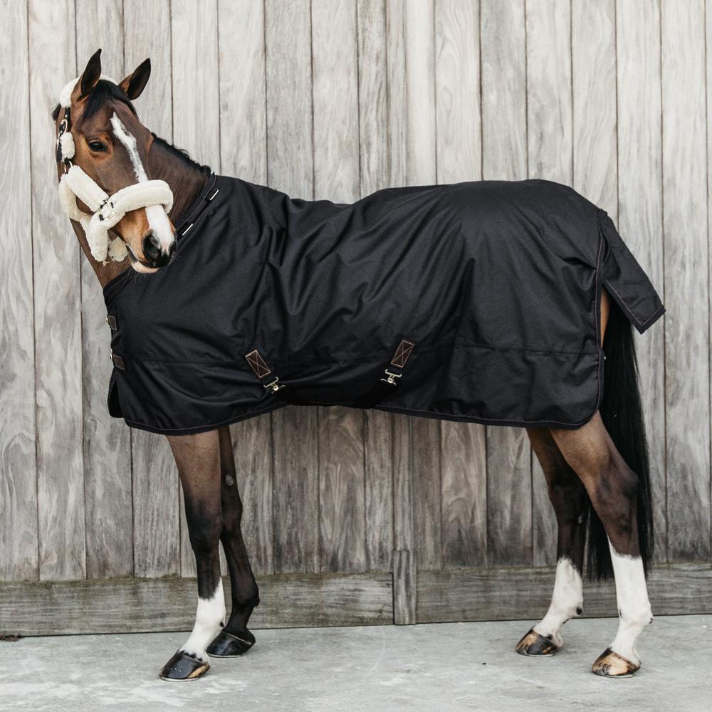 Turnout Rug All Weather Waterproof Pro | Kentucky Horsewear | Durable — Image 7