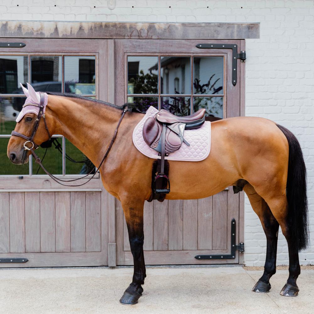 Pink saddlepad under a brown saddle on a bay horse