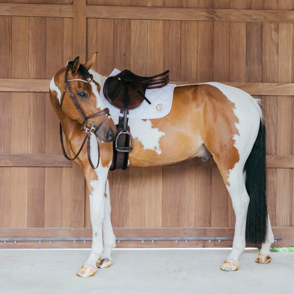 Kentucky Saddle Pad Wave Jumping