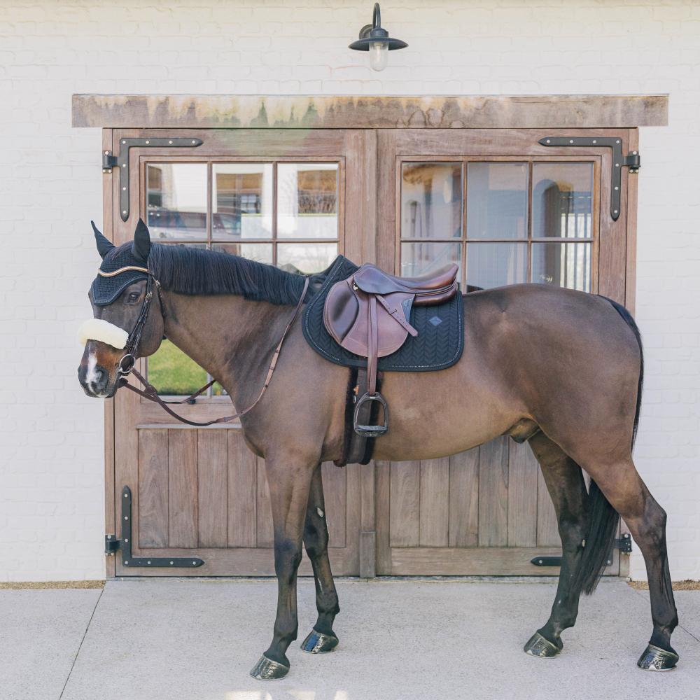 Saddle Pad Metal Chain Jumping | Kentucky Horsewear | Stylish — Image 12