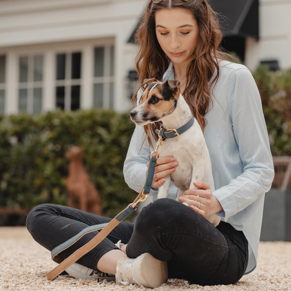 Dog Collar Soft Vegan Leather | Kentucky Dogwear | eco-friendly — Image 9