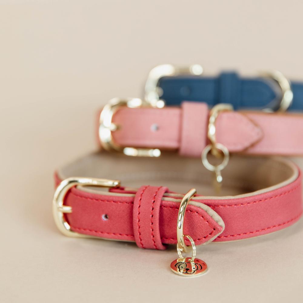 Dog Collar Soft Vegan Leather | Kentucky Dogwear | eco-friendly — Image 3