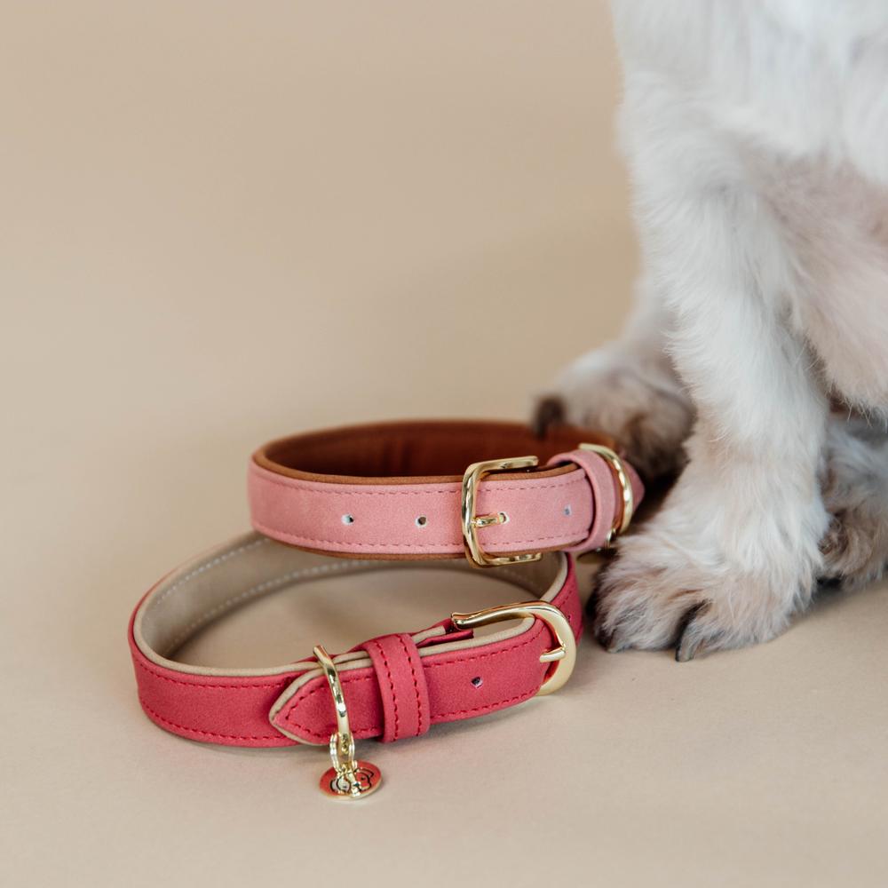 Dog Collar Soft Vegan Leather | Kentucky Dogwear | eco-friendly — Image 5