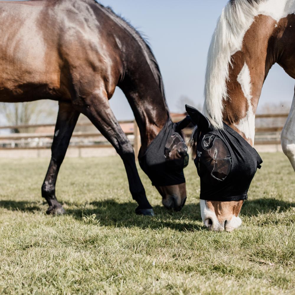 Fly Mask Slim Fit | Kentucky Horsewear | breathable — Image 8