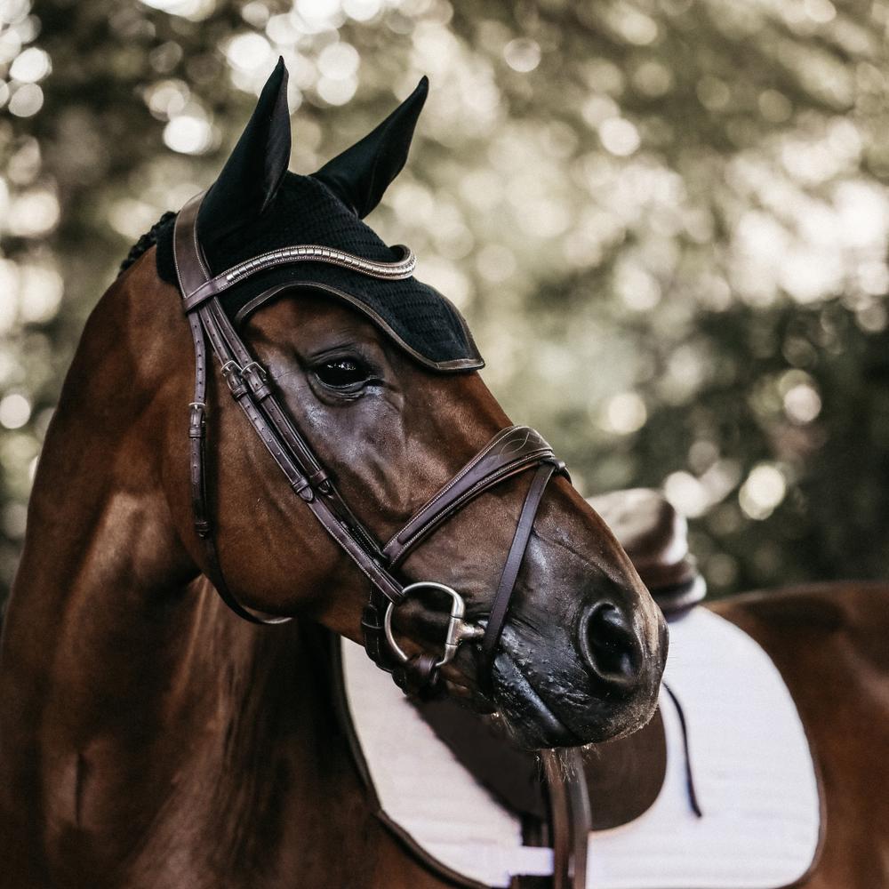 Fly Veil Wellington Leather | Kentucky Horsewear | Durability — Image 7