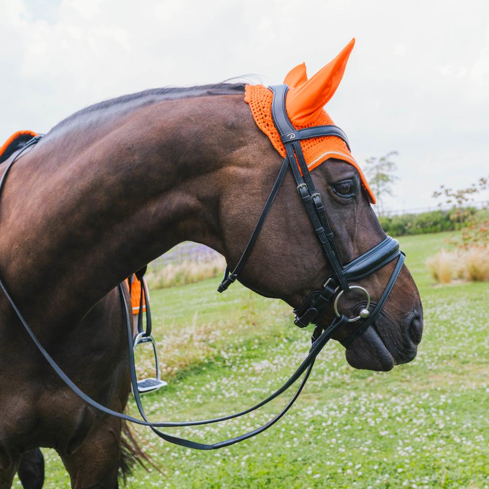 Fly Veil Wellington Diamond Rope | Kentucky Horsewear | Comfort — Image 12