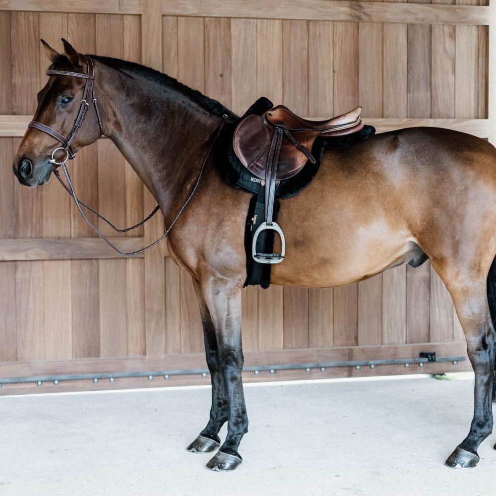 Kentucky Saddle Pad Hunter vegan sheepskin jumping