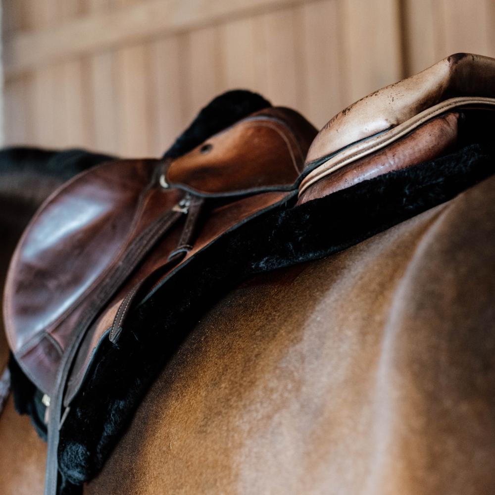 Kentucky Saddle Pad Hunter vegan sheepskin jumping
