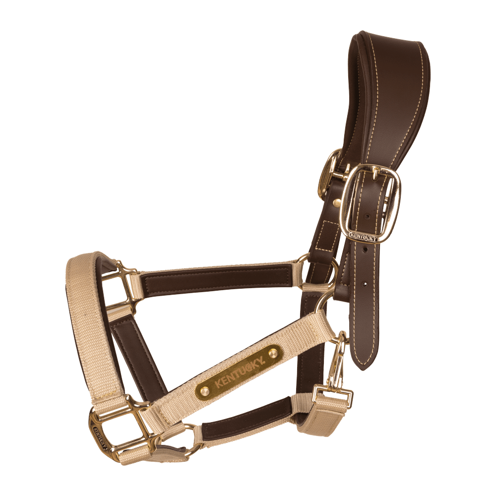 Nylon Anatomic Halter | Kentucky Horsewear | Durable — Image 4