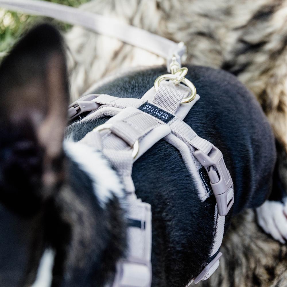 Dog Harness Active Velvet | Kentucky Dogwear | Comfort — Image 10