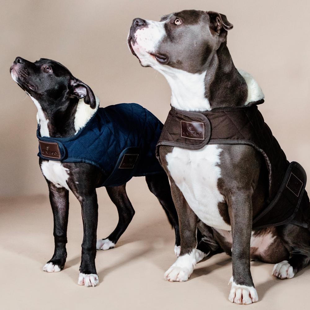 Dog Coat Original | Kentucky Dogwear | Warmth — Image 9