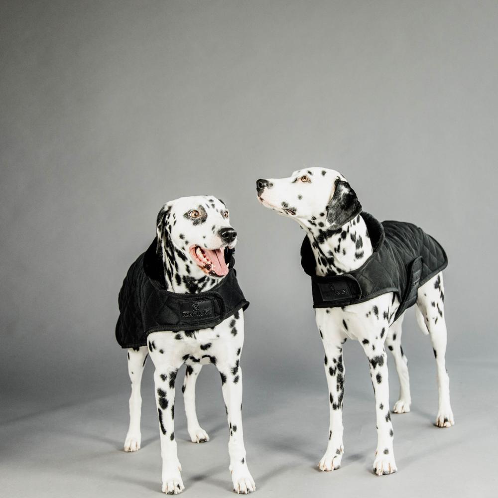 Dog Coat Original | Kentucky Dogwear | Warmth — Image 11
