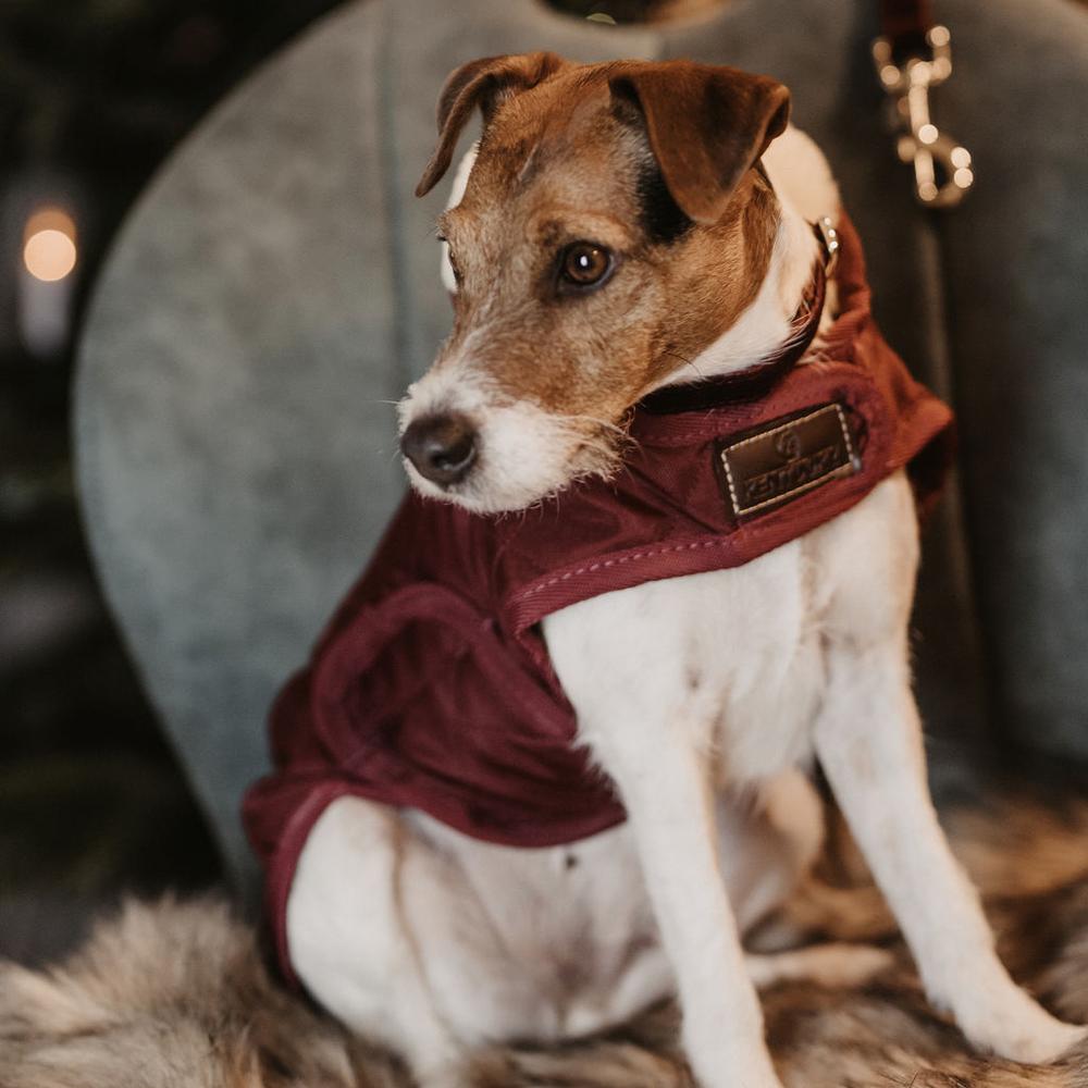 Dog Coat Original | Kentucky Dogwear | Warmth — Image 2