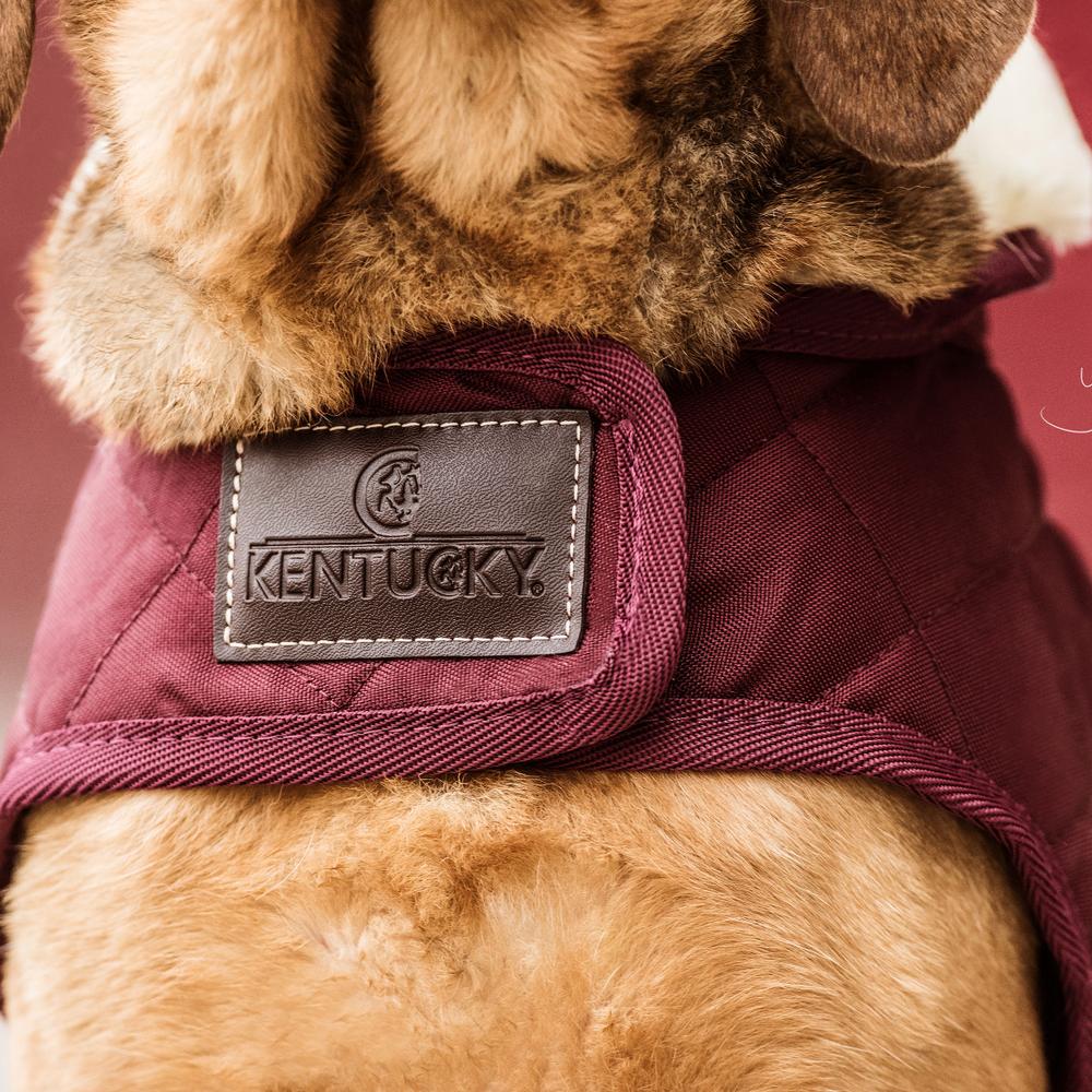 Dog Coat Original | Kentucky Dogwear | Warmth — Image 4