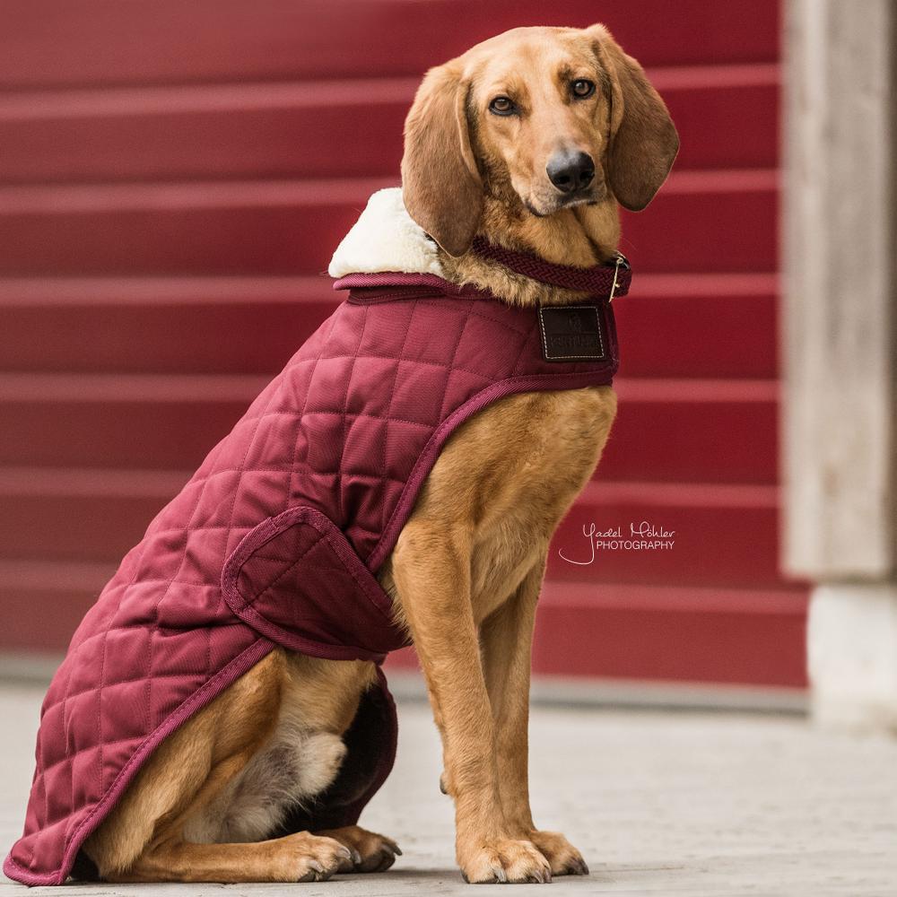 Dog Coat Original | Kentucky Dogwear | Warmth — Image 5