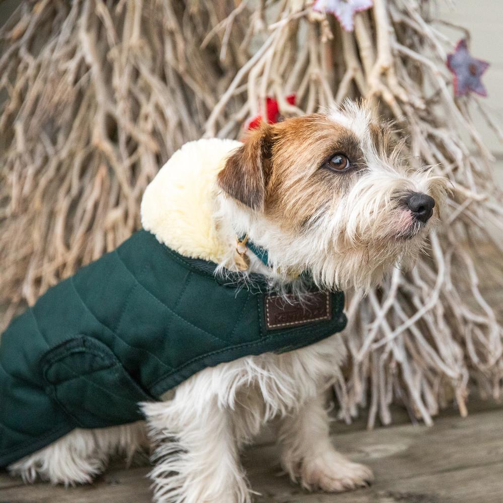 Dog Coat Original | Kentucky Dogwear | Warmth — Image 7